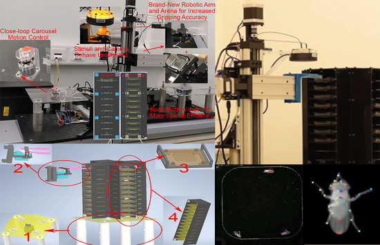 Improvement on Optobot - an Automated system for Neurogenetics Experimentation